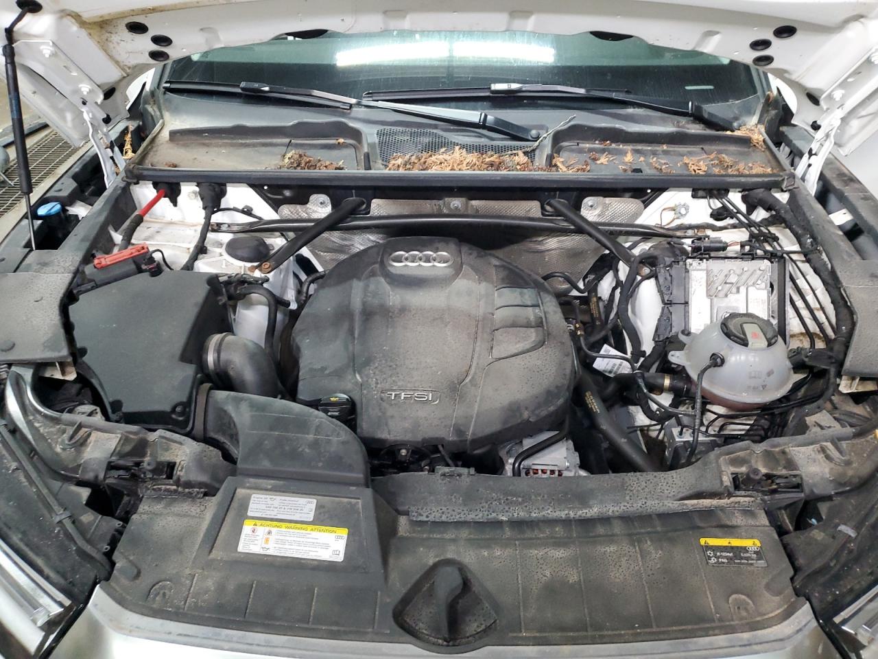 2020 Audi Q5 Premium VIN: WA1ANAFY6L2028736 Lot: 81423825