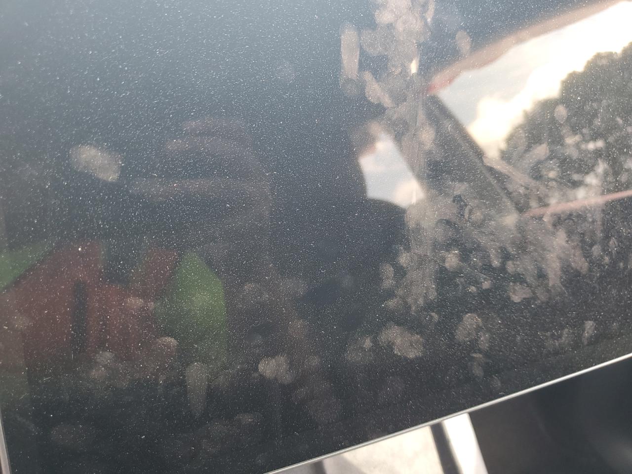 2023 Tesla Model Y VIN: 7SAYGDEE4PF594309 Lot: 81809595