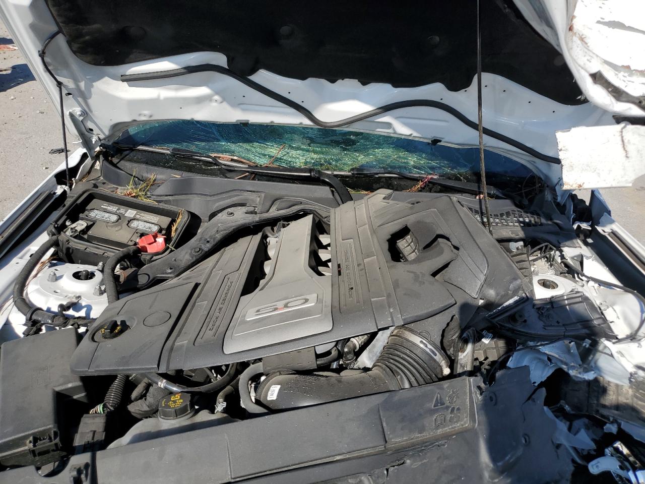 2019 Ford Mustang Gt VIN: 1FA6P8CF0K5193539 Lot: 80613015