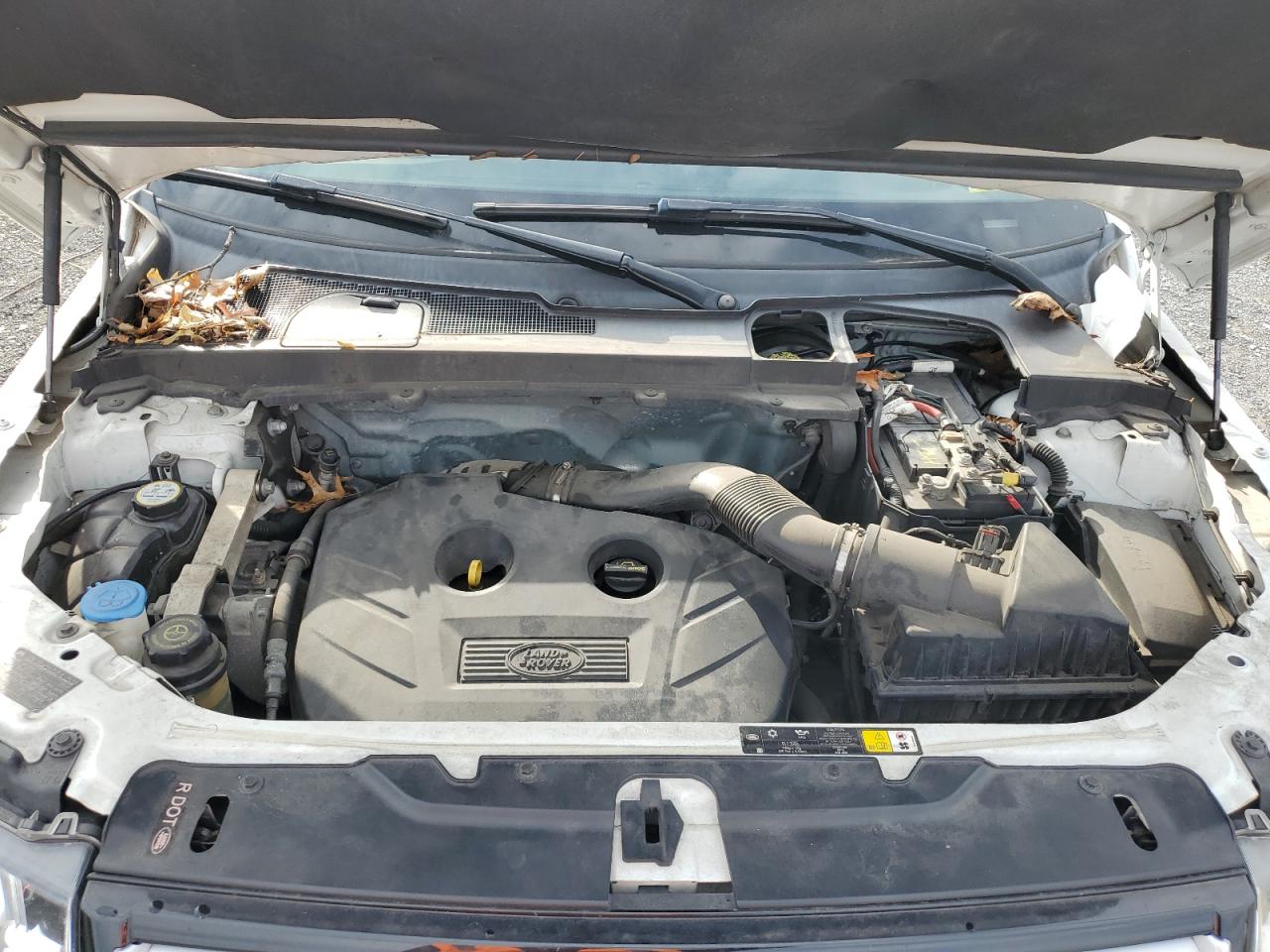 2015 Land Rover Lr2 Se VIN: SALFP2BG8FH421267 Lot: 81745395