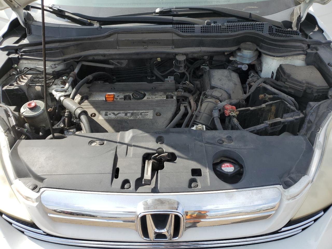 2007 Honda Cr-V Ex VIN: JHLRE48507C019790 Lot: 80994285