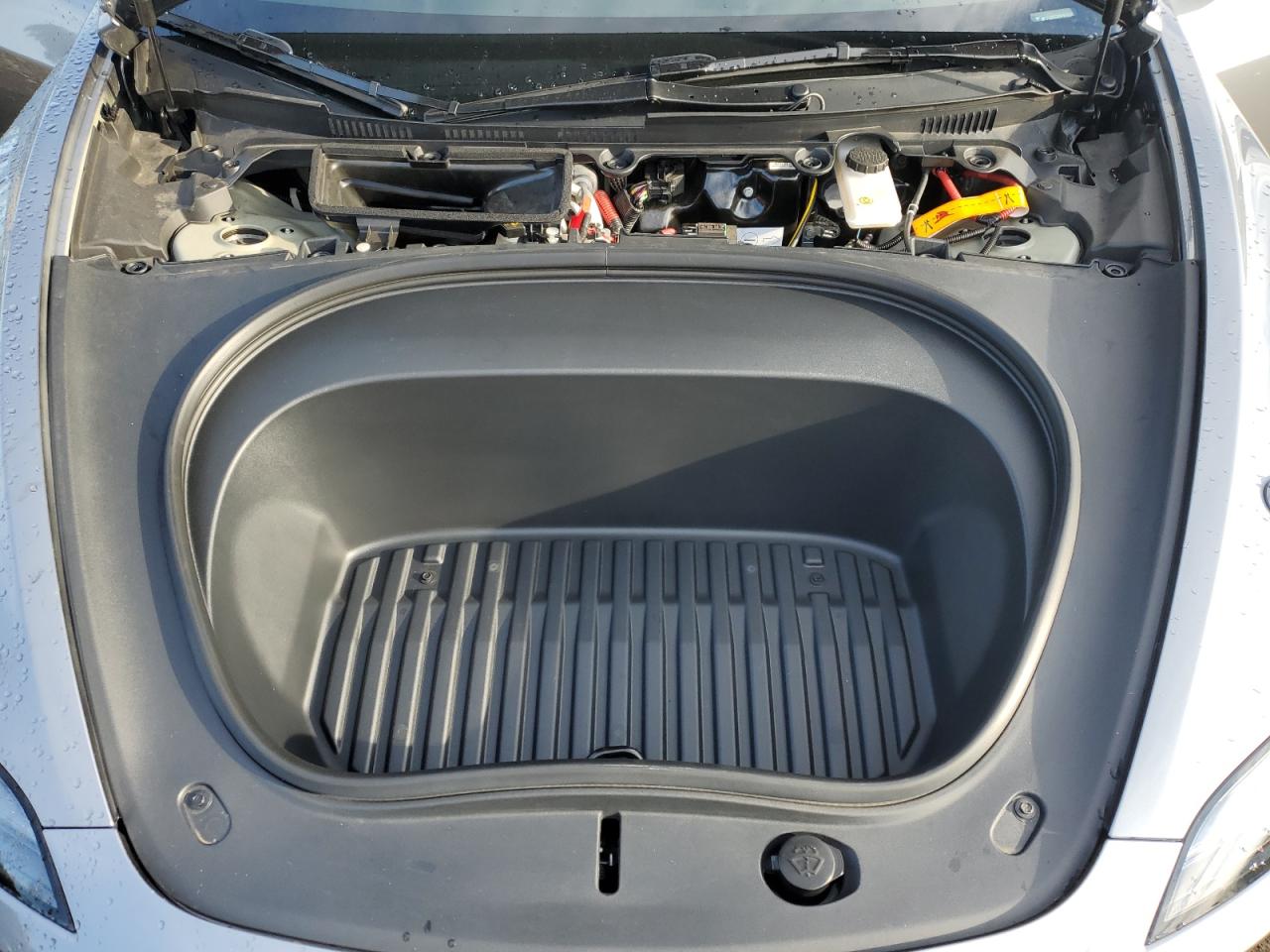 2025 Tesla Model 3 VIN: 5YJ3E1EB7SF876020 Lot: 81794935