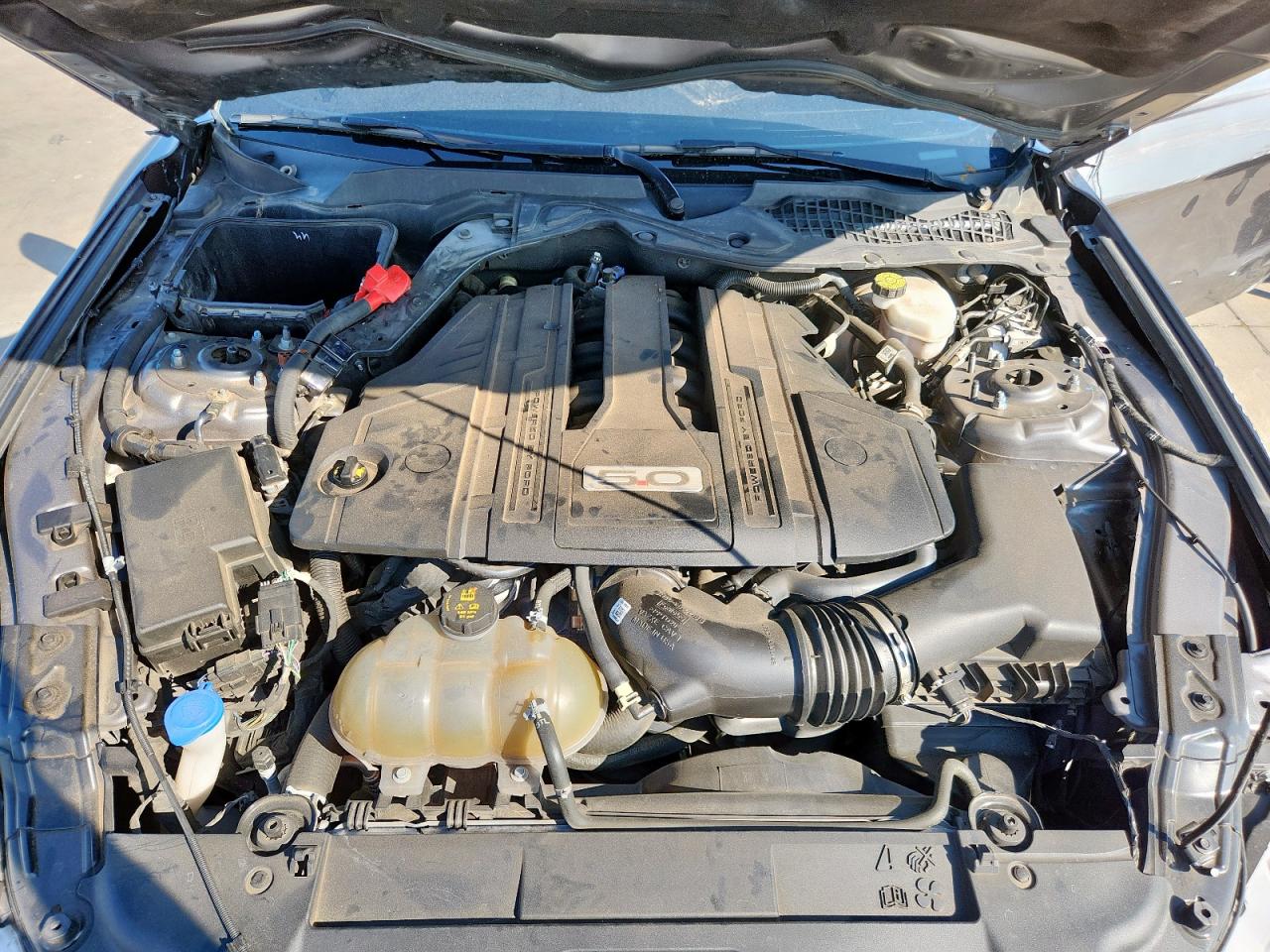 2021 Ford Mustang Gt VIN: 1FA6P8CF8M5119658 Lot: 82121895