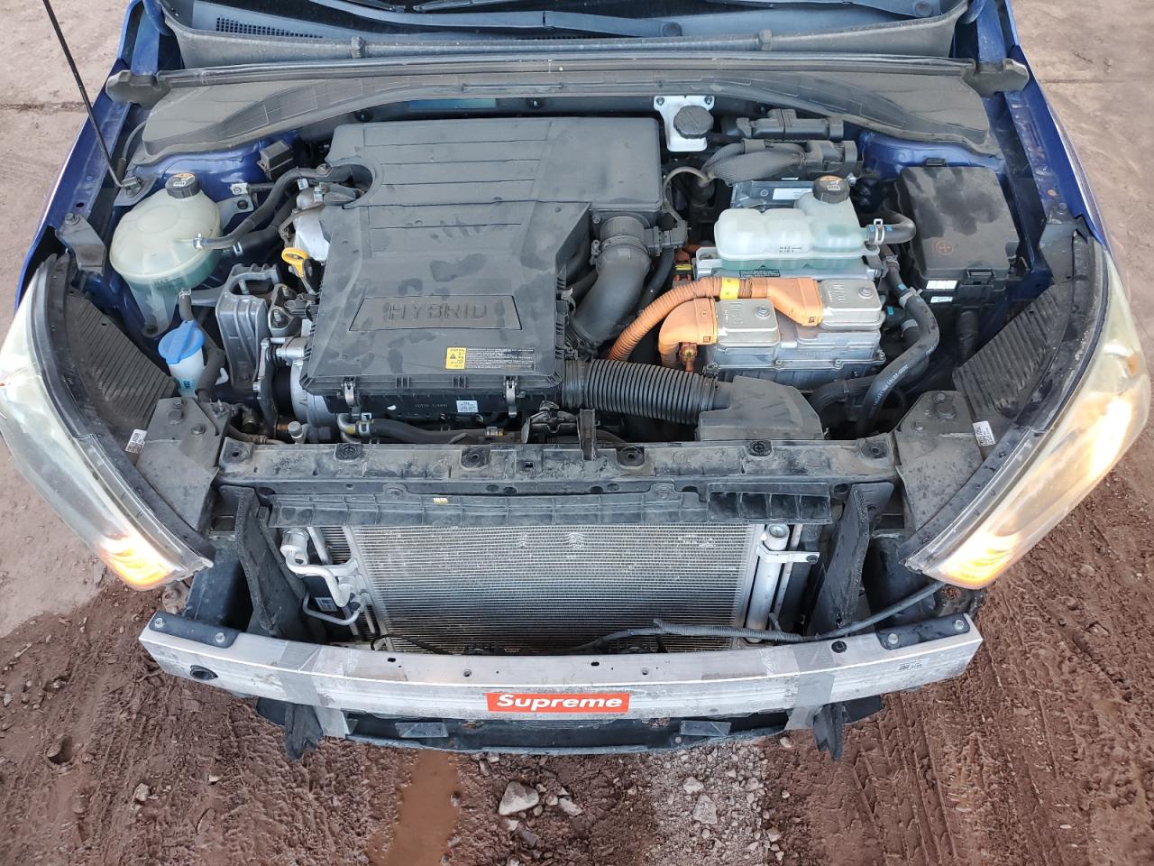 2019 Hyundai Ioniq Blue VIN: KMHC65LC0KU179906 Lot: 81335875