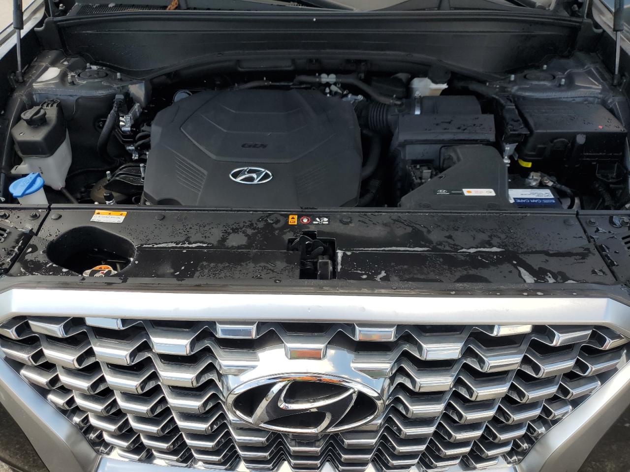 2021 Hyundai Palisade Limited VIN: KM8R54HE6MU245721 Lot: 81296845