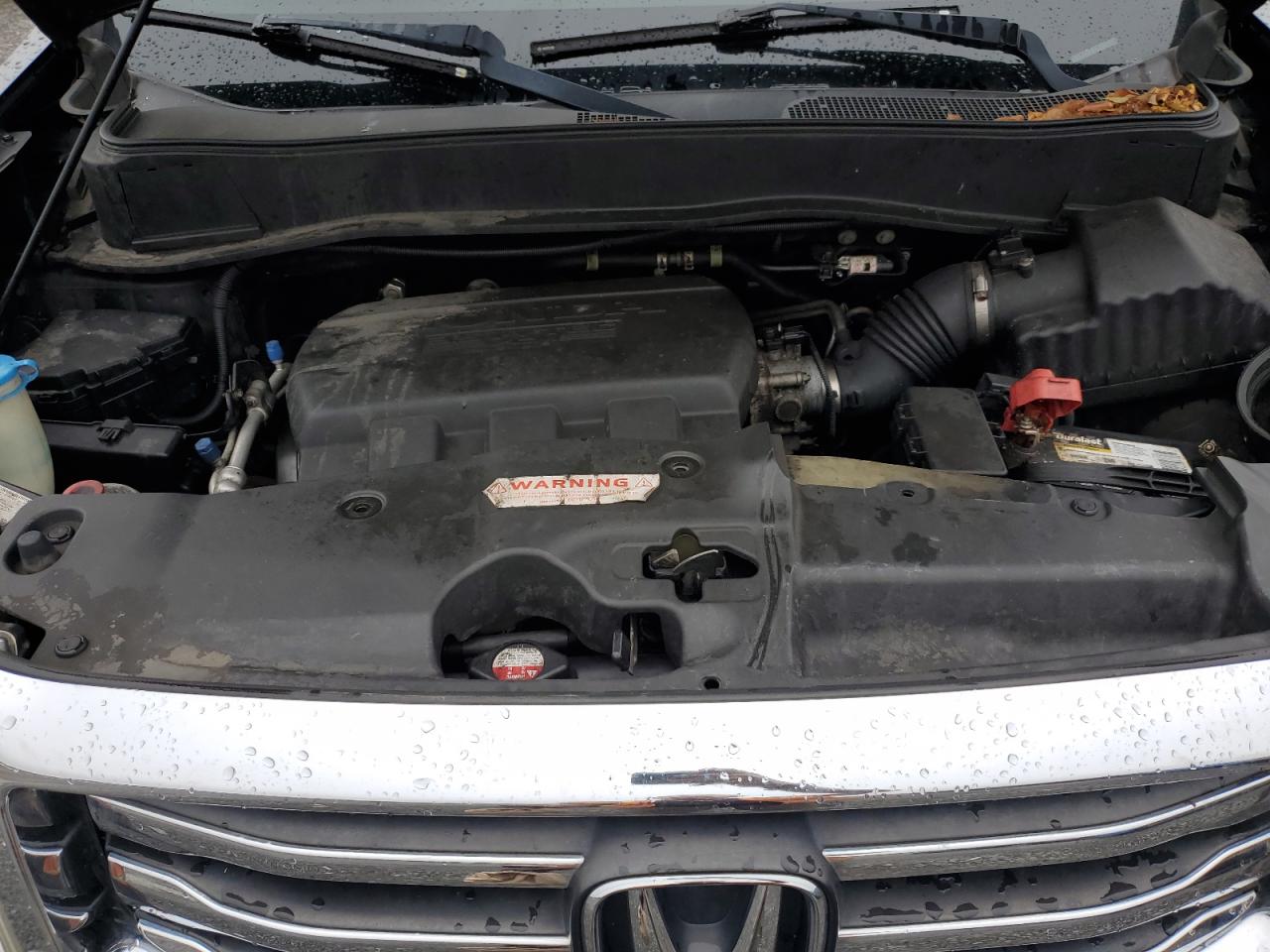 2013 Honda Pilot Exln VIN: 5FNYF4H7XDB047974 Lot: 83999755