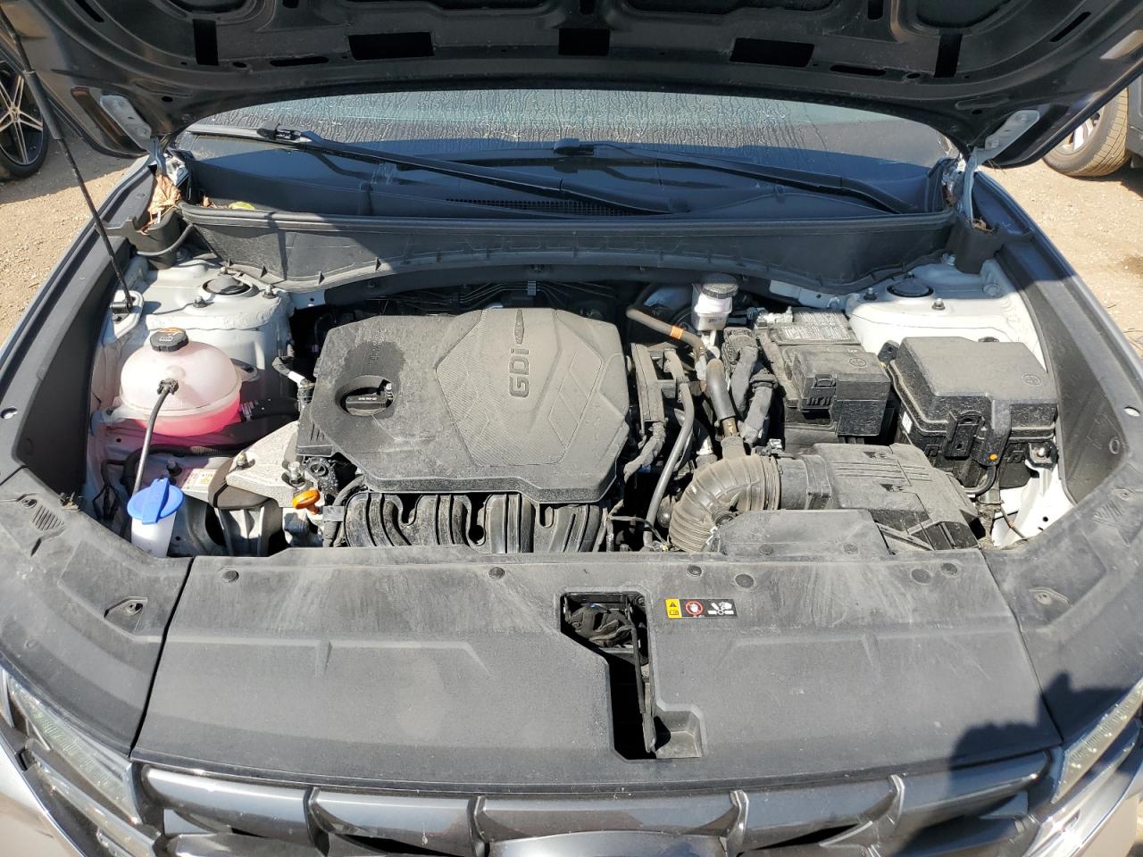 2024 Hyundai Tucson Sel VIN: 5NMJB3DE7RH323089 Lot: 80627235