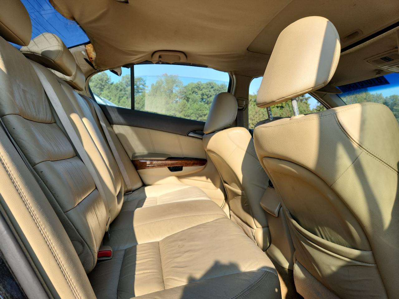 2009 Honda Accord Exl VIN: 1HGCP26819A183855 Lot: 81070155