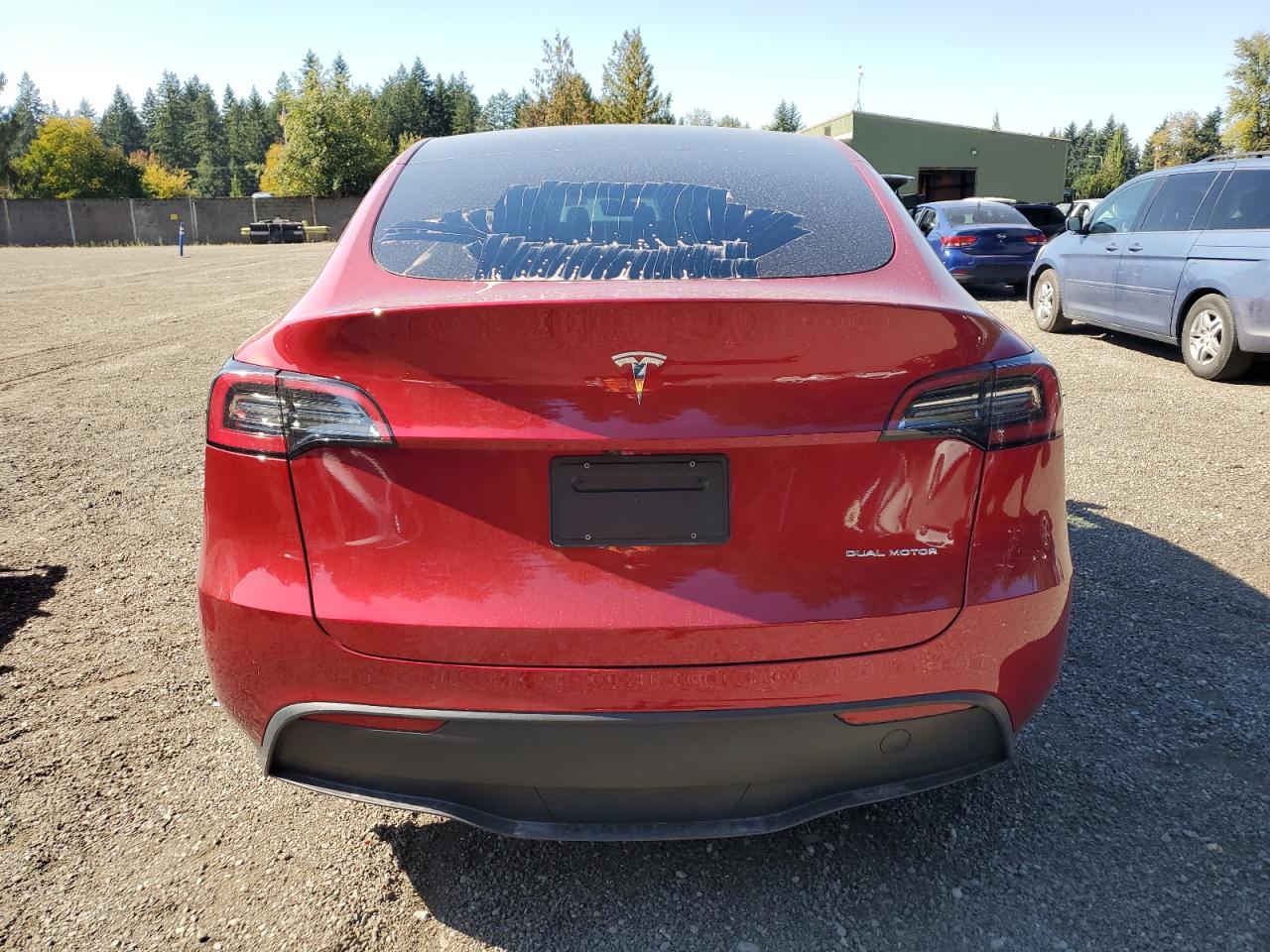 2024 Tesla Model Y VIN: 7SAYGDEE8RF115070 Lot: 81247725