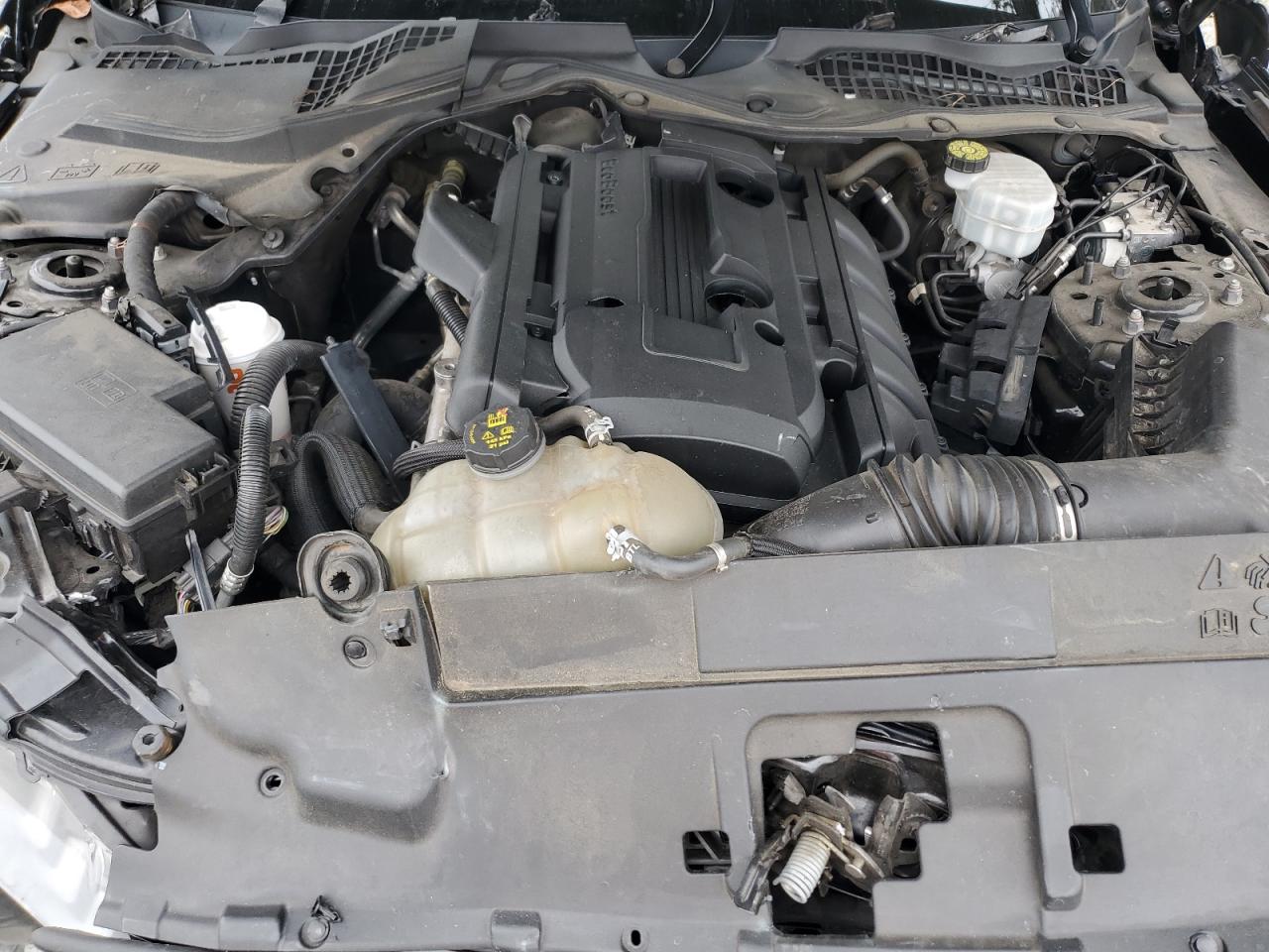 2021 Ford Mustang VIN: 1FA6P8TH7M5153009 Lot: 81675295