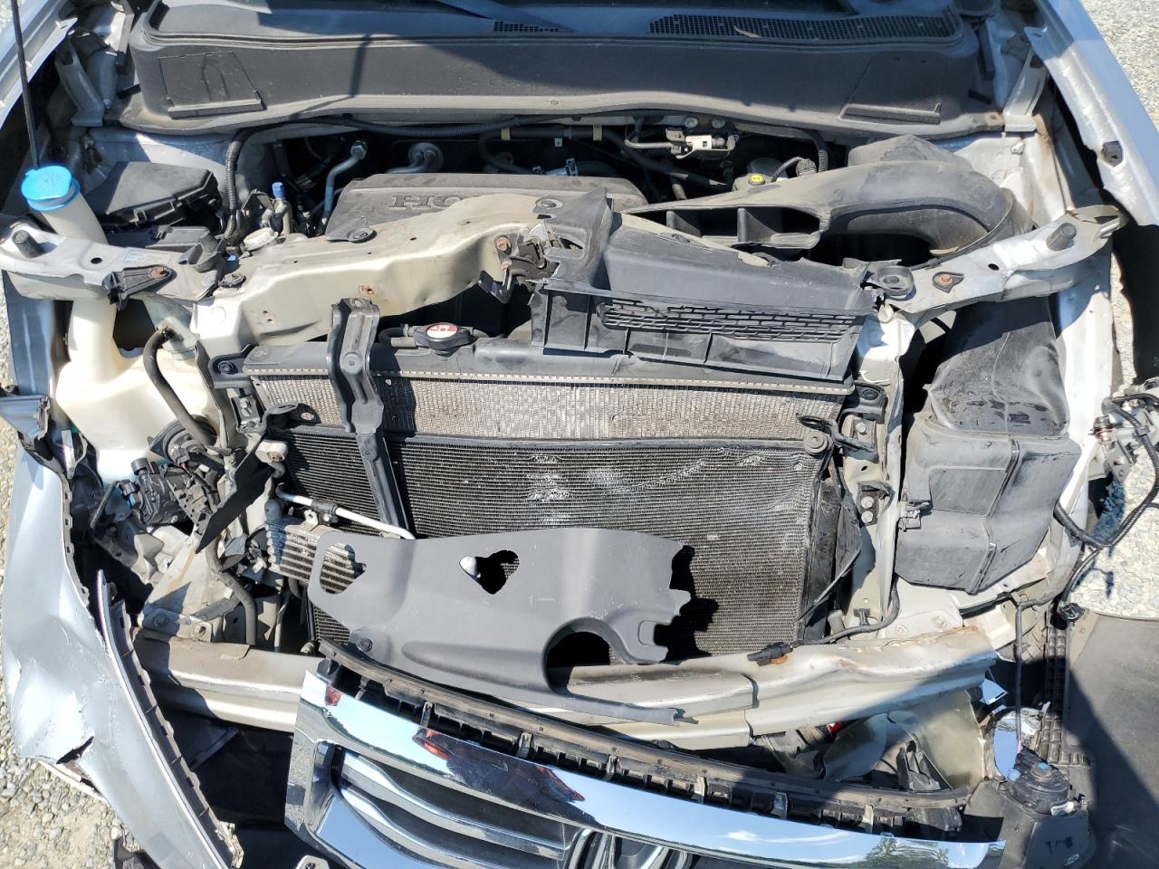 2014 Honda Pilot Exl VIN: 5FNYF4H56EB034882 Lot: 71835745