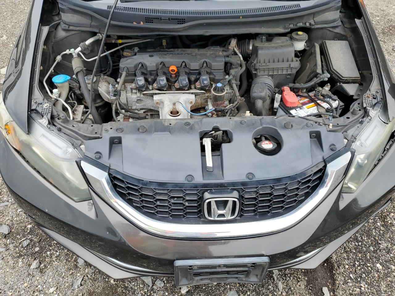 2013 Honda Civic Exl VIN: 19XFB2F98DE204144 Lot: 84718215