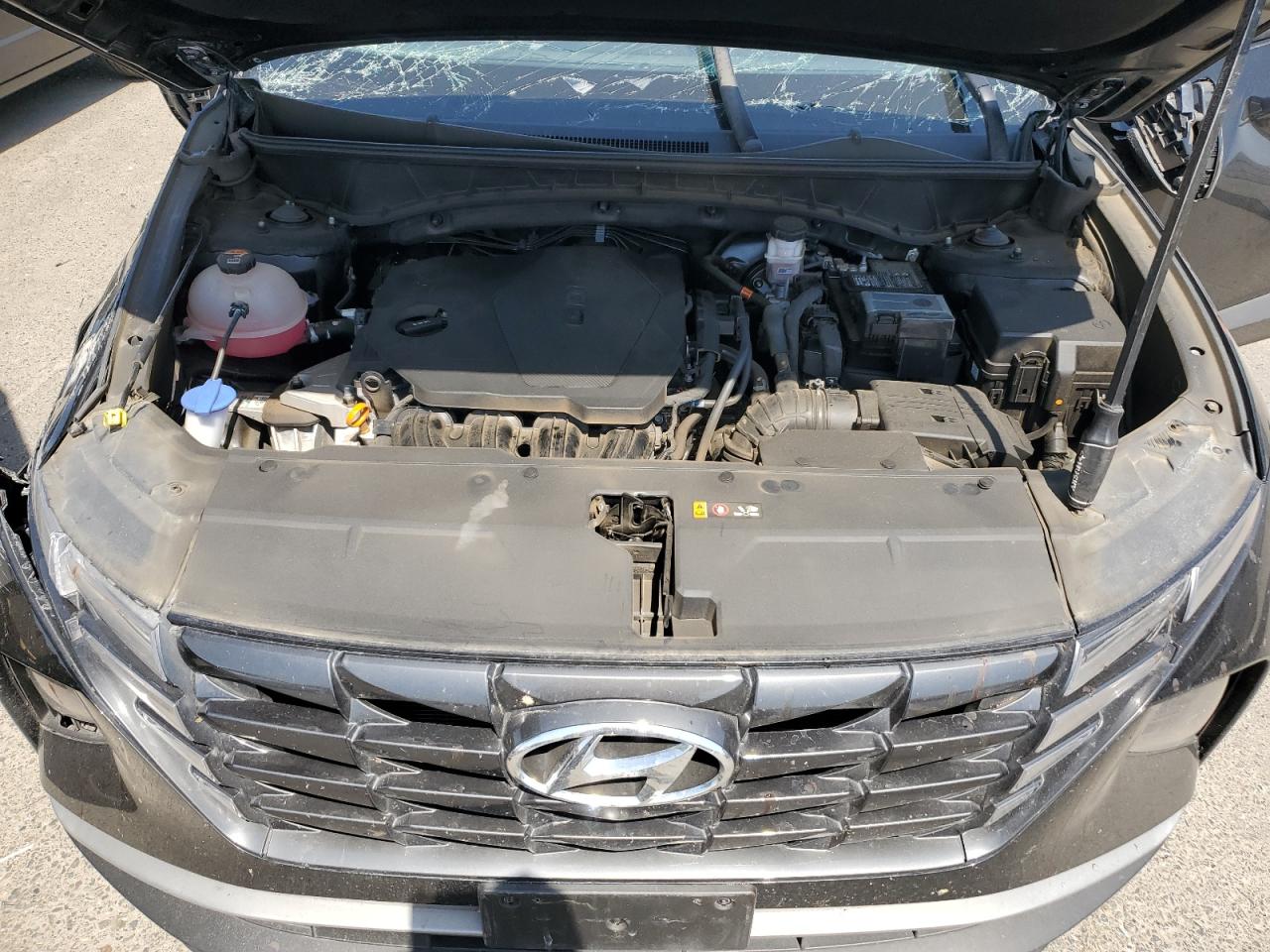 2024 Hyundai Tucson Sel VIN: 5NMJB3DE0RH325413 Lot: 71314365