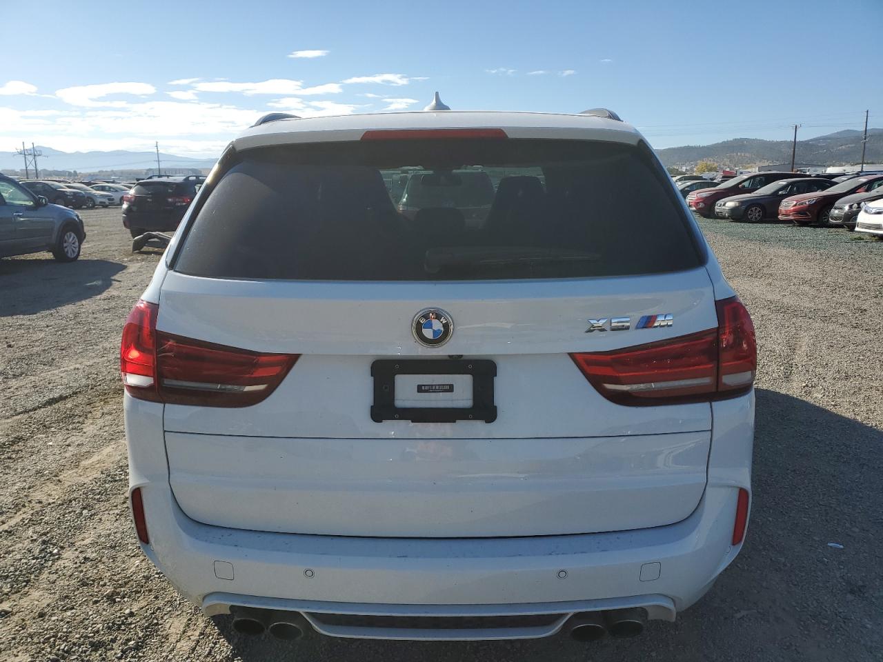 2016 BMW X5 M VIN: 5YMKT6C56G0R78417 Lot: 81812685