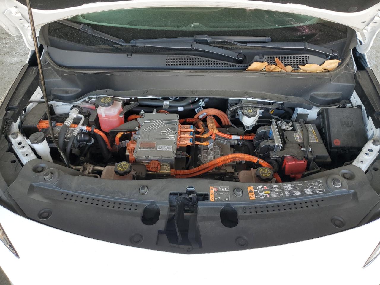 2023 Chevrolet Bolt Euv Lt VIN: 1G1FY6S0XP4148333 Lot: 84262615