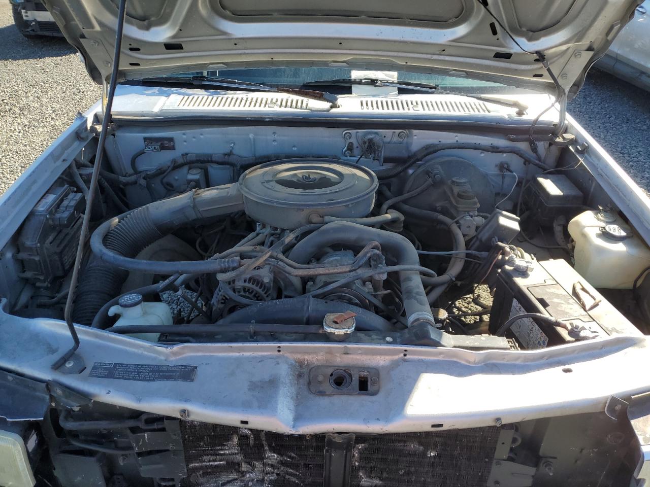 1992 Dodge Dakota VIN: 1B7GG23Y3NS534919 Lot: 81334305