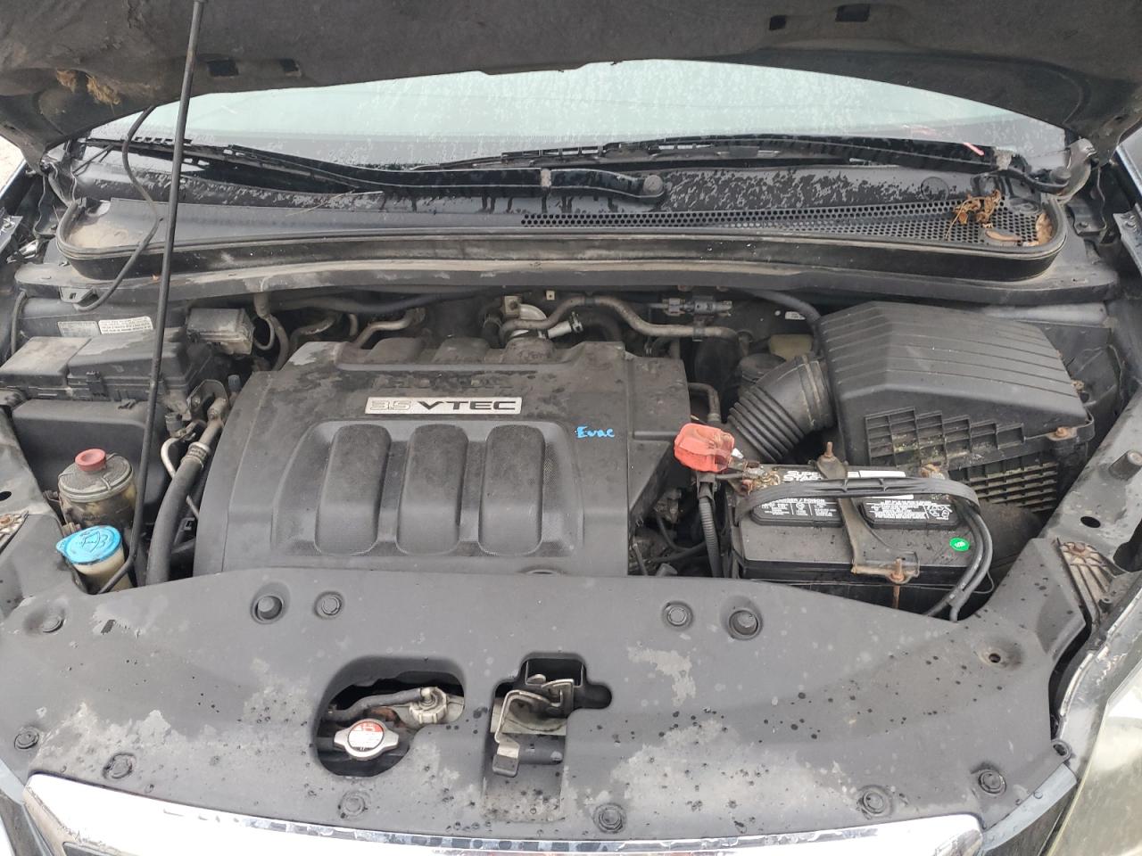 2005 Honda Odyssey Ex VIN: 5FNRL384X5B414774 Lot: 81488655