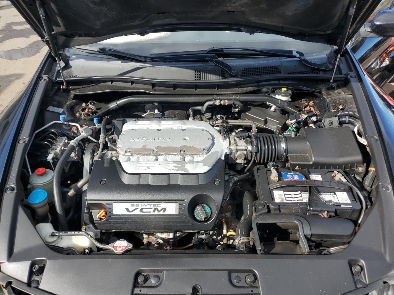 2010 Honda Accord Exl VIN: 1HGCS2B80AA006027 Lot: 84444845