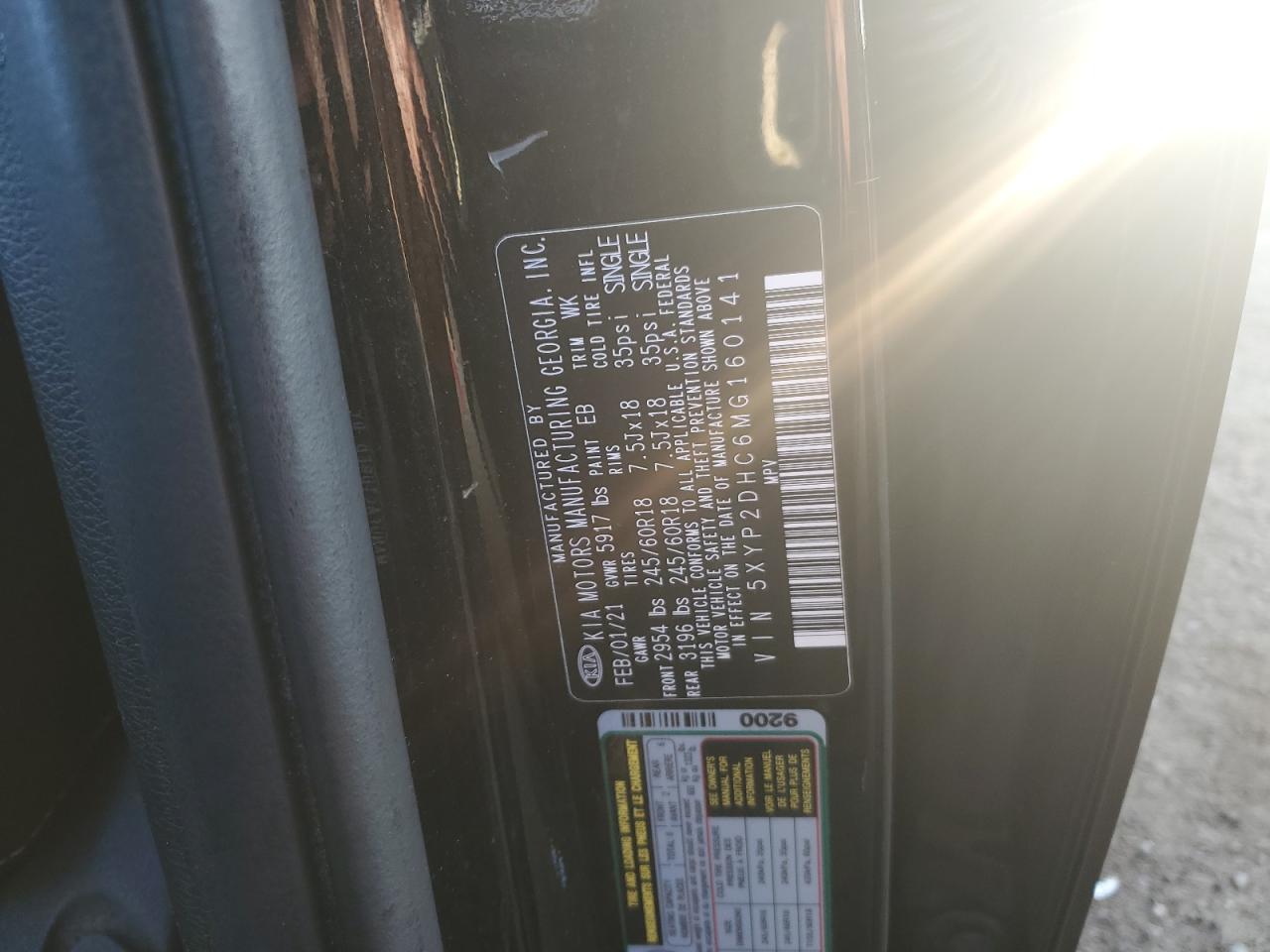 2021 Kia Telluride Lx VIN: 5XYP2DHC6MG160141 Lot: 80377935