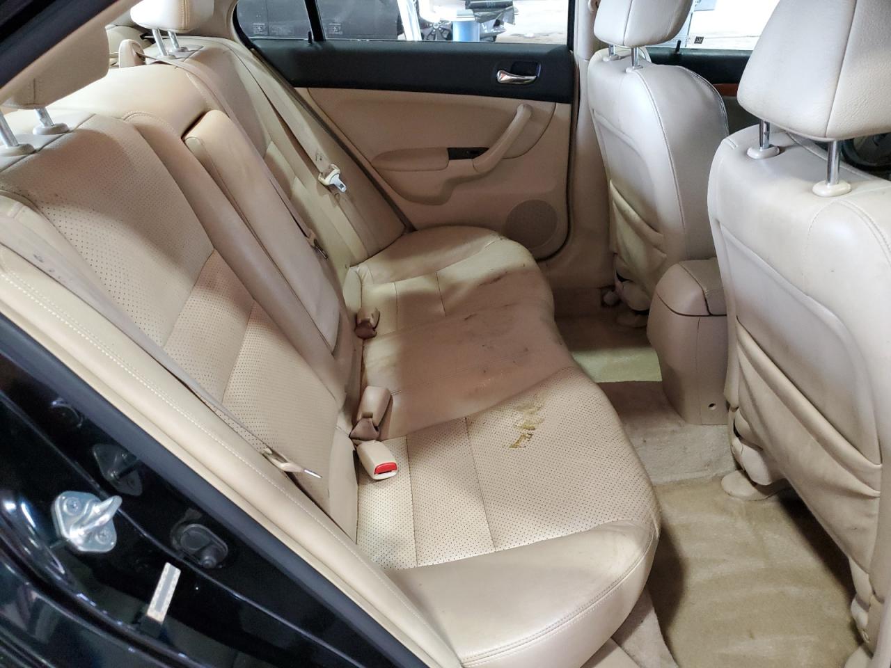 2005 Acura Tsx VIN: JH4CL96955C023115 Lot: 84296655