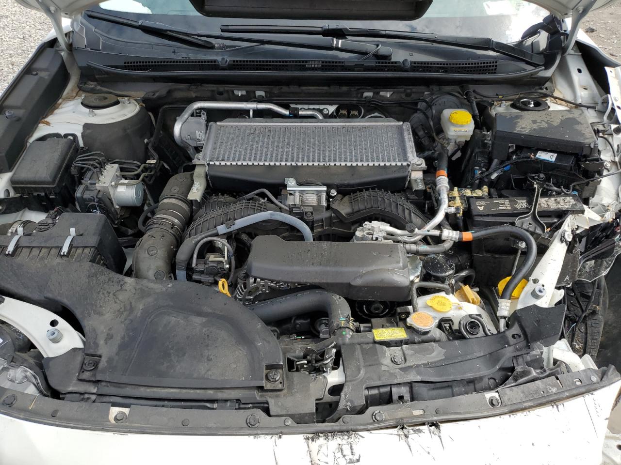 2023 Subaru Outback Limited Xt VIN: 4S4BTGND1P3113013 Lot: 81700195