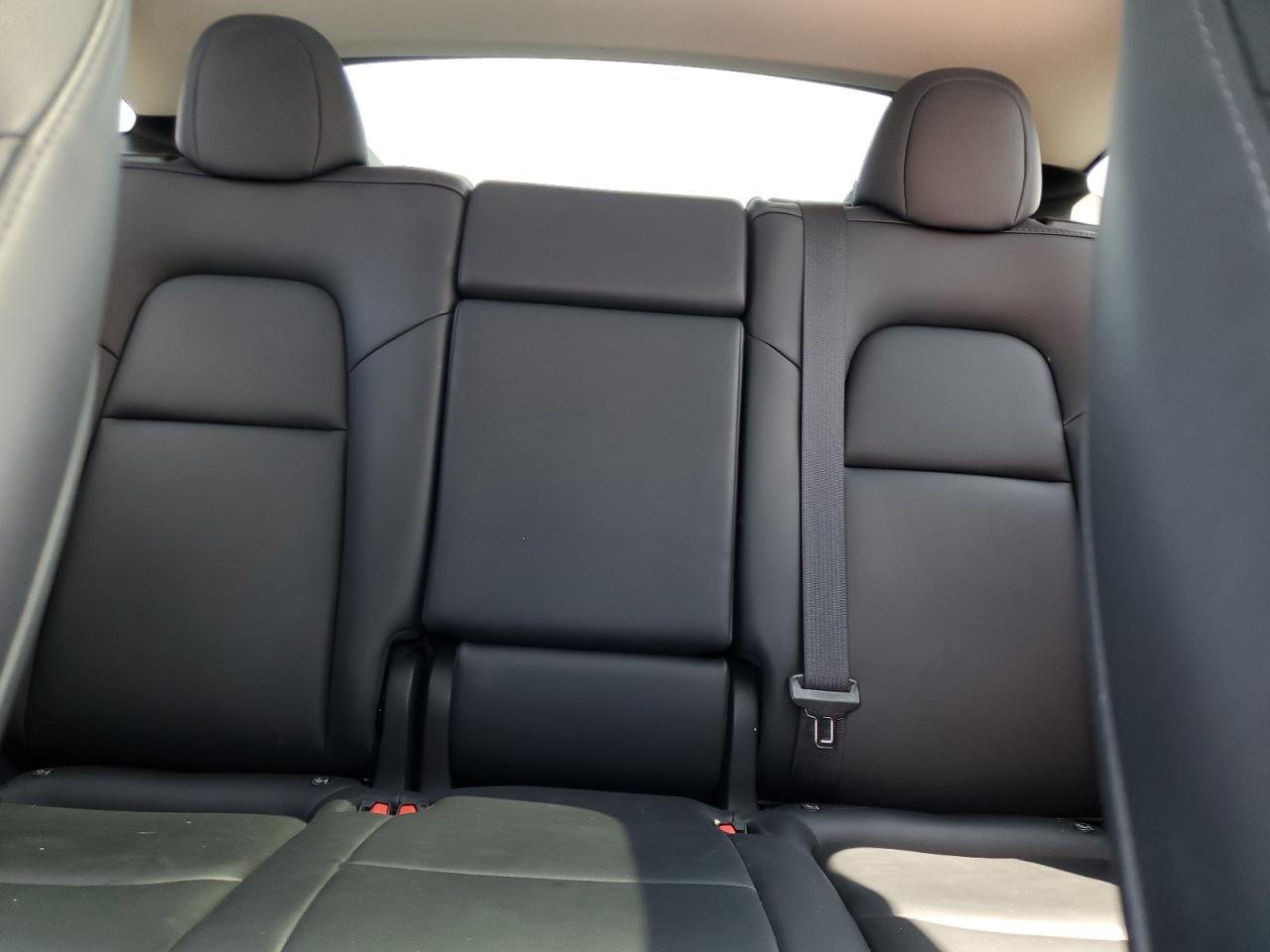 2024 Tesla Model Y VIN: 7SAYGDEE3RA222881 Lot: 80351395