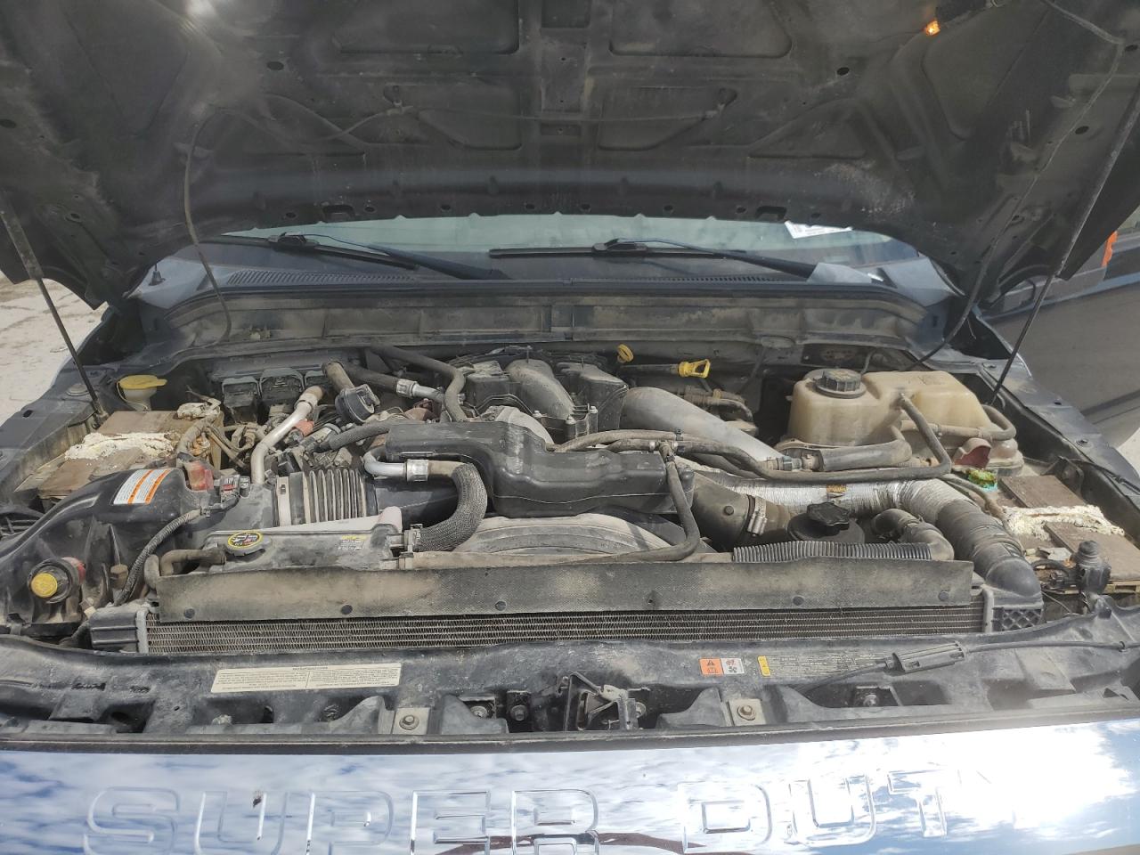 2011 Ford F350 Super Duty VIN: 1FT8W3BT1BEA67660 Lot: 69773975