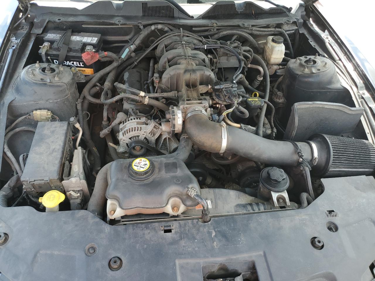 2010 Ford Mustang VIN: 1ZVBP8AN0A5134117 Lot: 80562895