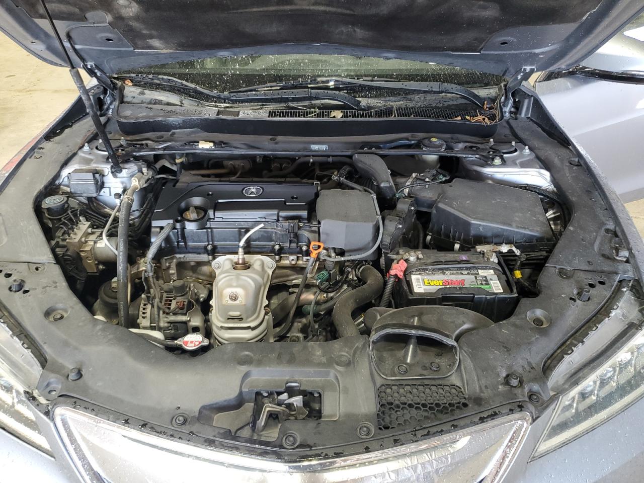 2015 Acura Tlx VIN: 19UUB1F31FA005649 Lot: 81210055