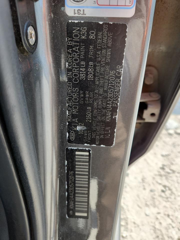 2013 Kia Forte Ex VIN: KNAFU4A23D5712076 Lot: 80127645