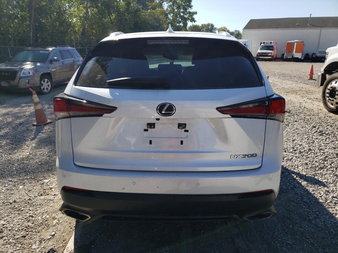 2020 Lexus Nx 300 VIN: JTJDARDZ2L5011906 Lot: 71968805