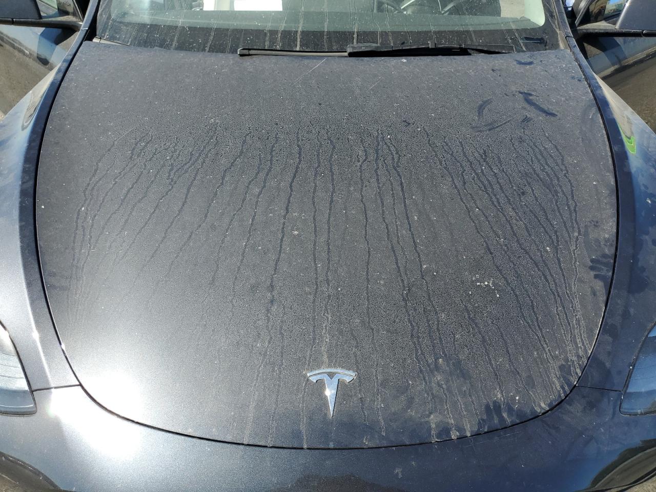 2025 Tesla Model Y VIN: 7SAYGDEF4SF244566 Lot: 71752555