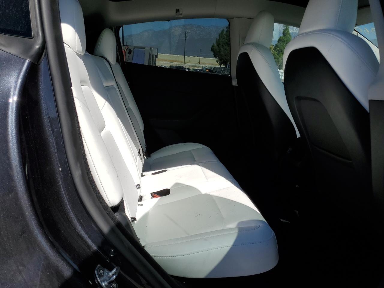 2025 Tesla Model Y VIN: 7SAYGDEF4SF244566 Lot: 71752555