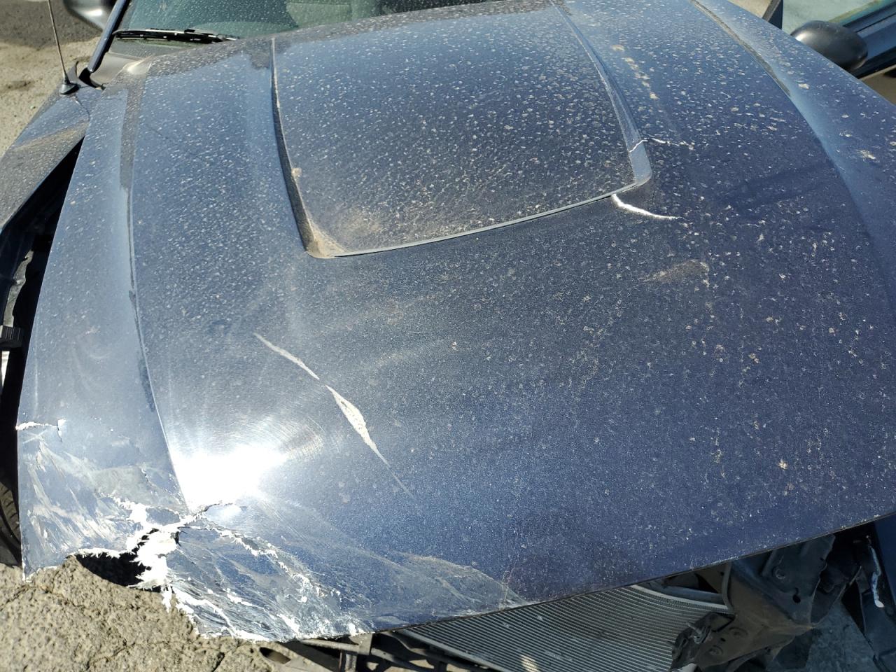 2003 Ford Mustang VIN: 1FAFP44473F447636 Lot: 81471975