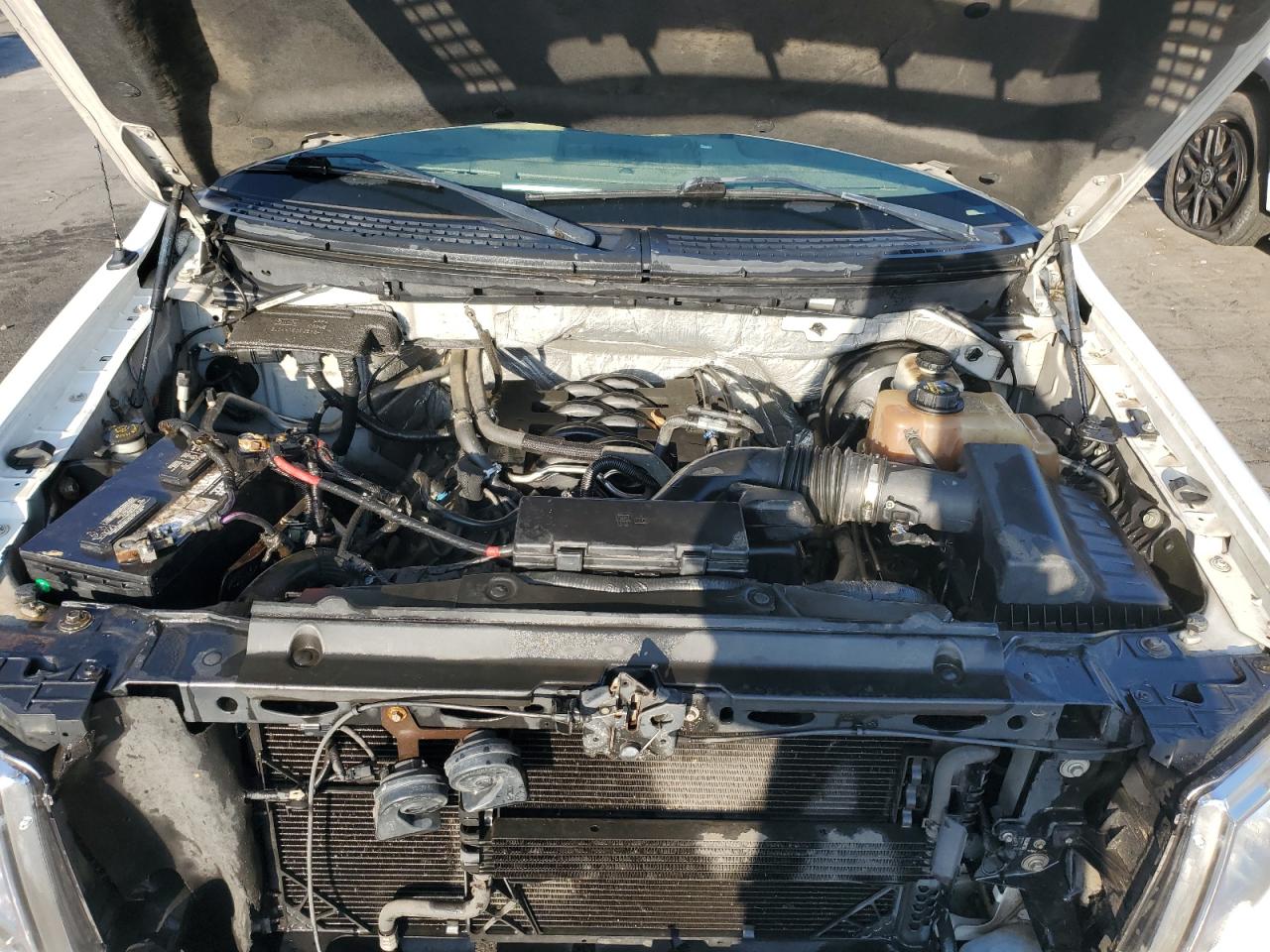 2011 Ford F150 Supercrew VIN: 1FTFW1CF4BFC59394 Lot: 81070235