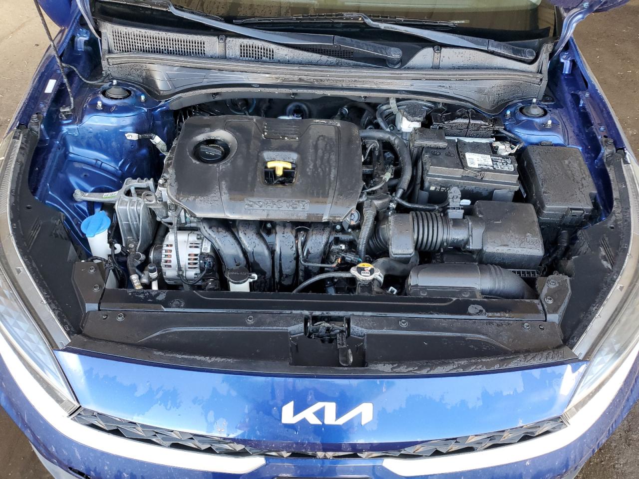 2022 Kia Forte Fe VIN: 3KPF24AD5NE452487 Lot: 80532685