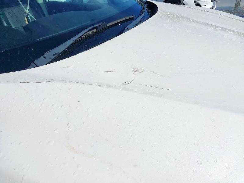 2014 NISSAN QASHQAI TEKNA DCI 