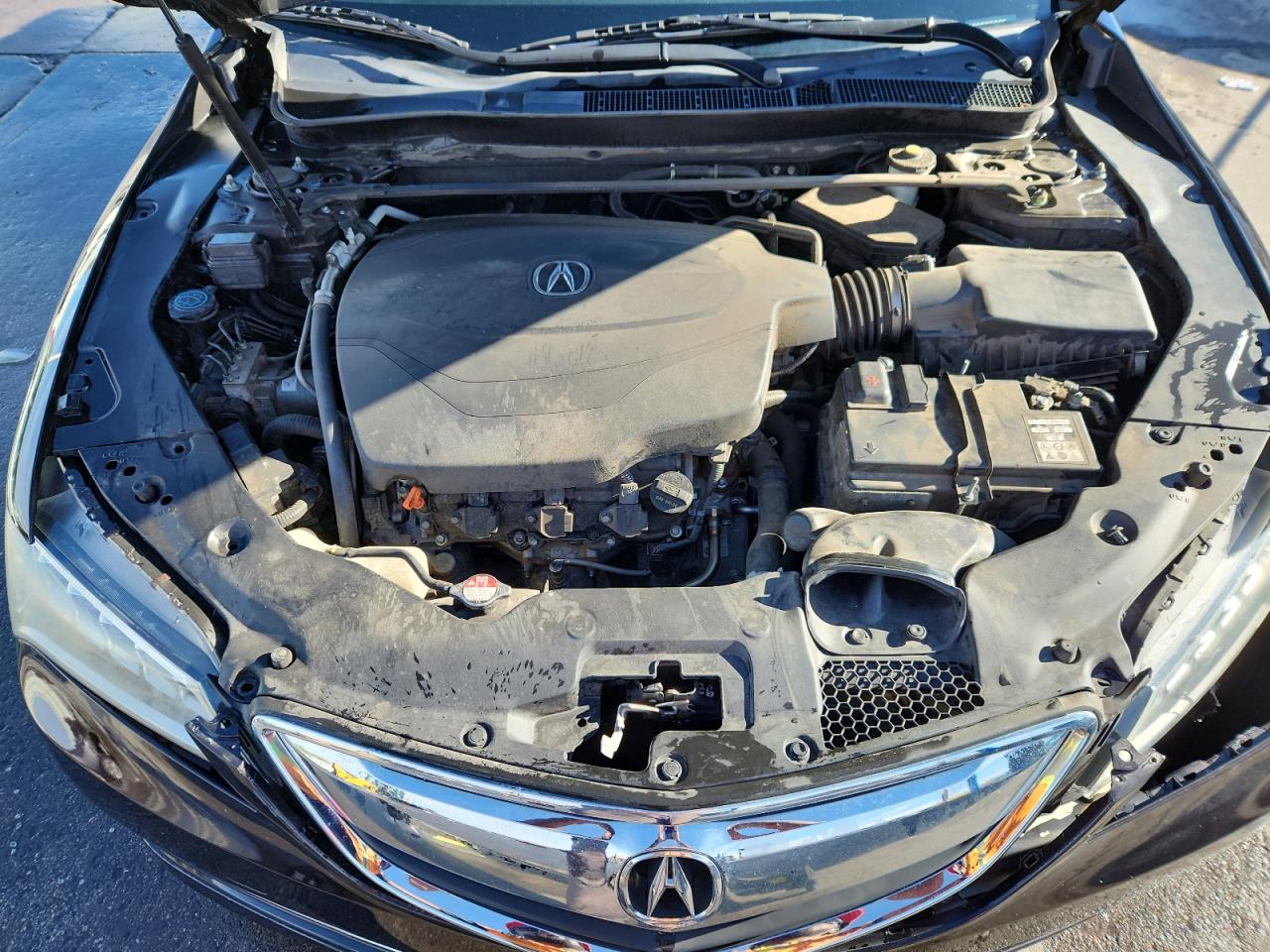 2015 Acura Tlx Tech VIN: 19UUB3F5XFA010877 Lot: 81304275