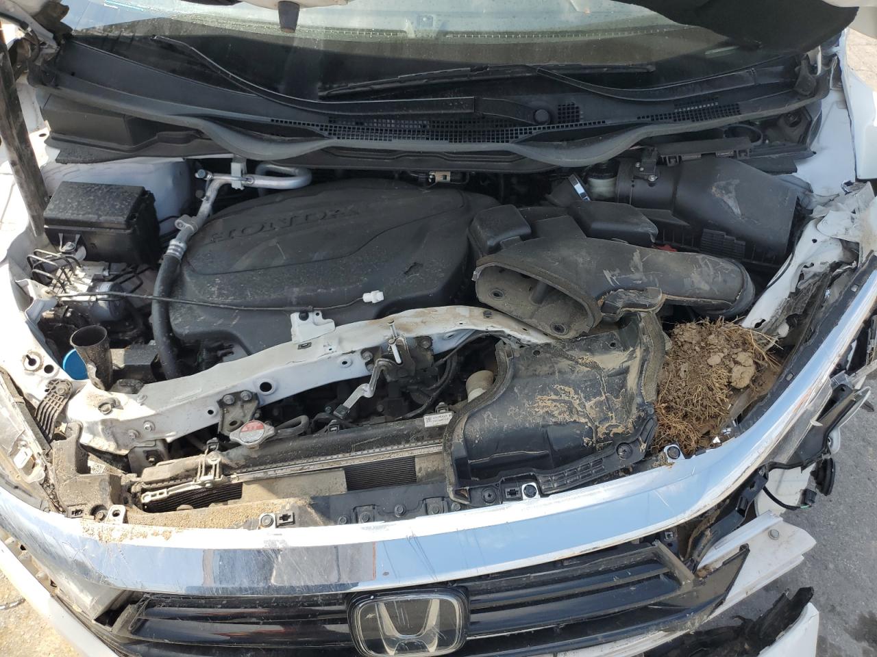 2022 Honda Odyssey Exl VIN: 5FNRL6H71NB005218 Lot: 72063795