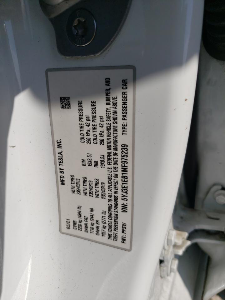 2021 Tesla Model 3 VIN: 5YJ3E1EB1MF975239 Lot: 81144635