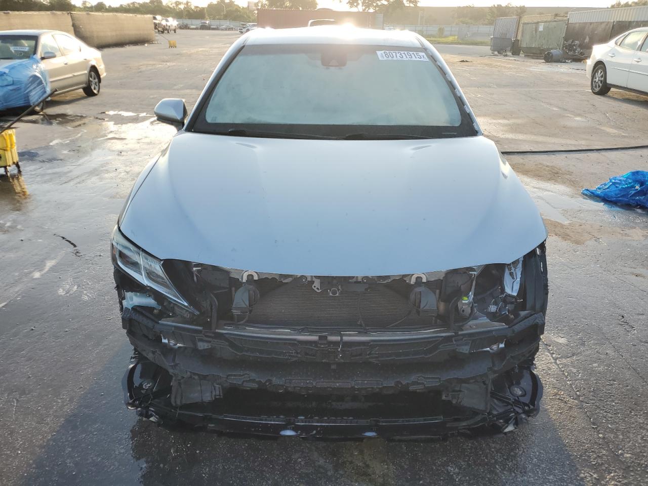 VIII (XV70) VIII (XV70)