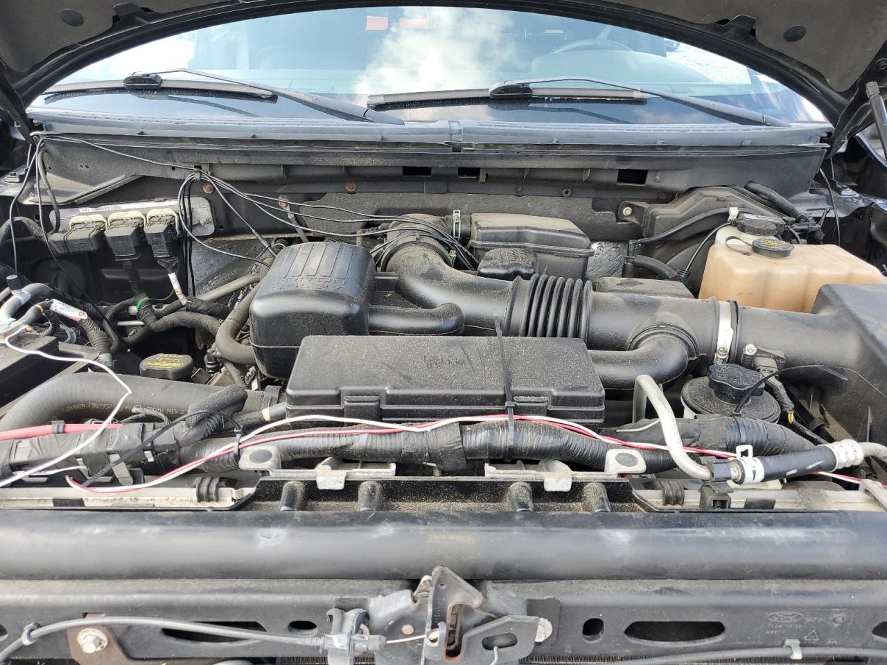 2010 Ford F150 Supercrew VIN: 1FTFW1EV4AKA74465 Lot: 82052675