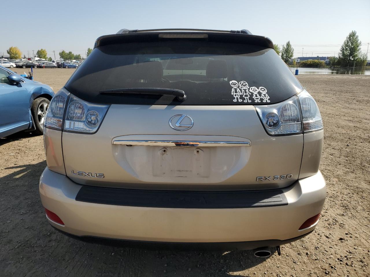 2004 Lexus Rx 330 VIN: 2T2HA31UX4C028589 Lot: 81328115