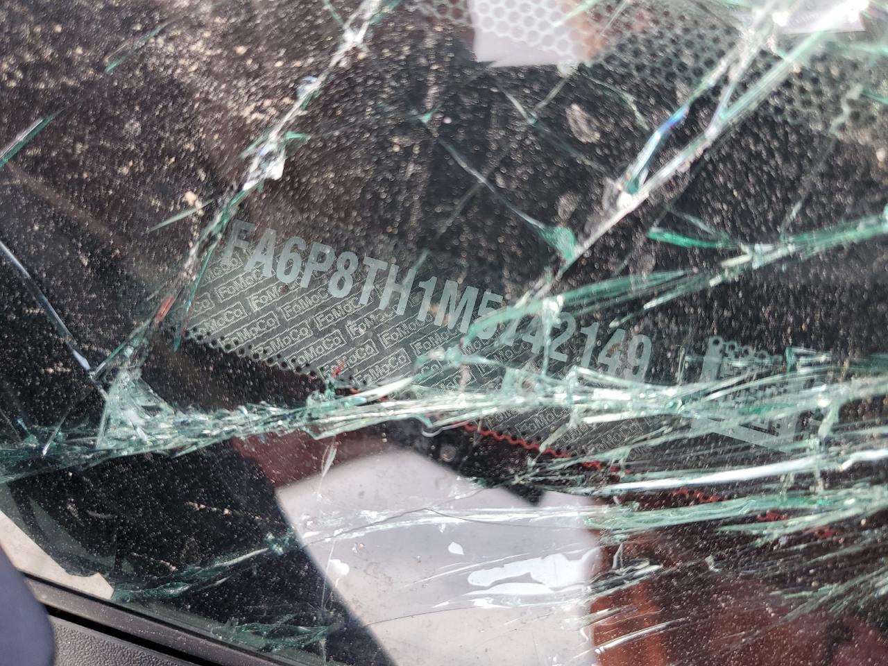 2021 Ford Mustang VIN: 1FA6P8TH1M5142149 Lot: 81093835