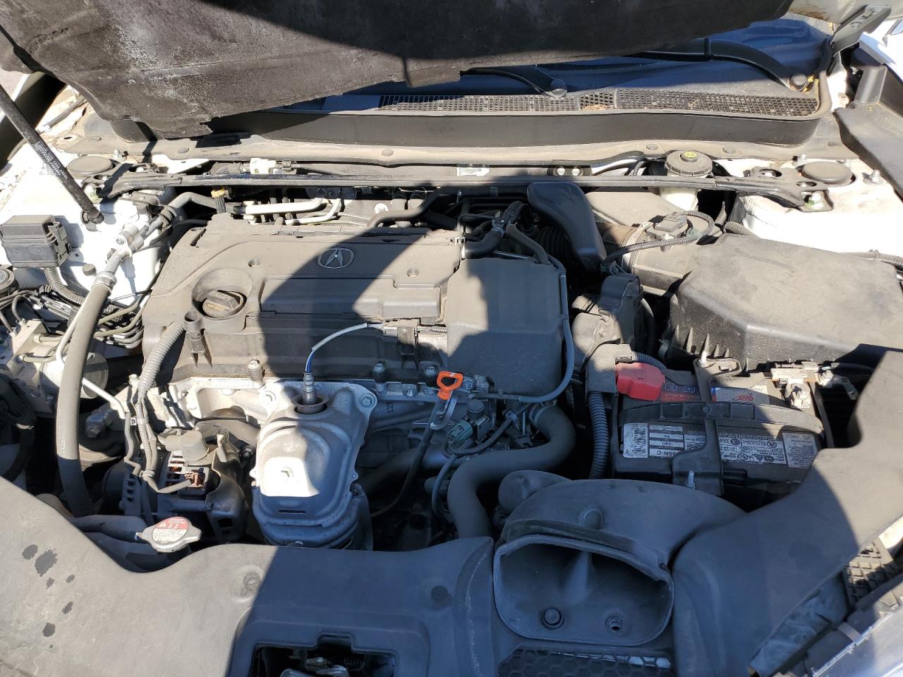 2020 Acura Tlx VIN: 19UUB1F37LA011225 Lot: 80343895