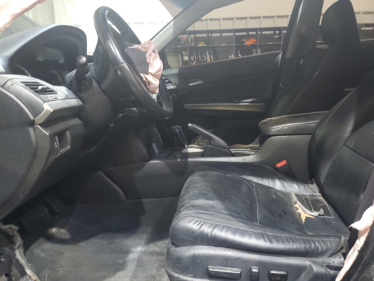 2009 Honda Accord Exl VIN: 1HGCP36859A013441 Lot: 81600545