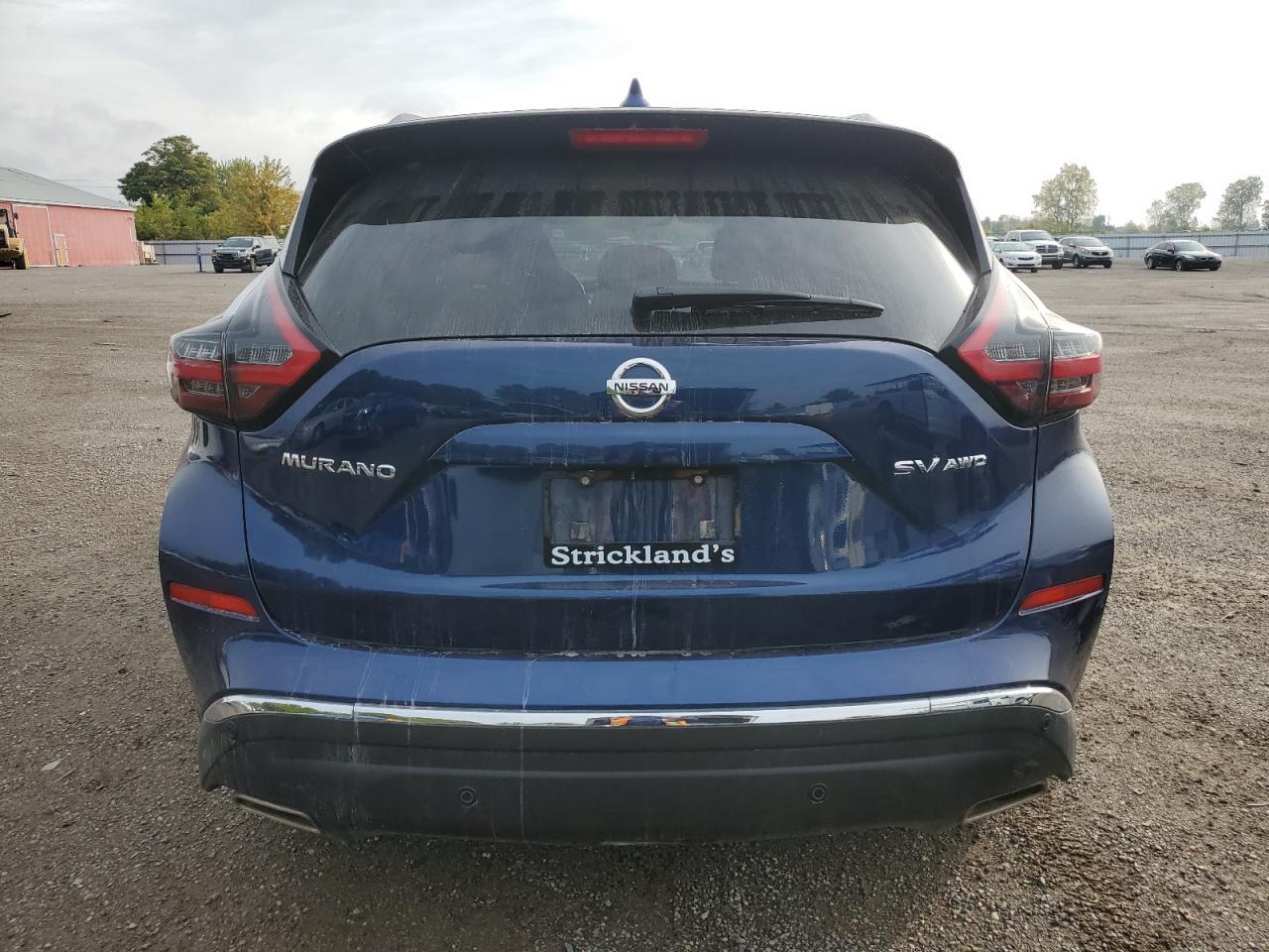 2020 Nissan Murano Sv VIN: 5N1AZ2BS5LN135711 Lot: 80615225
