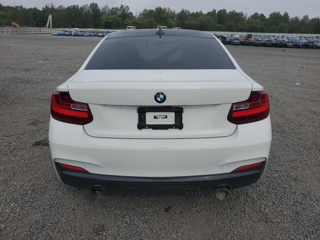 2016 BMW 228 Xi Sulev VIN: WBA1G9C53GV726604 Lot: 81548605