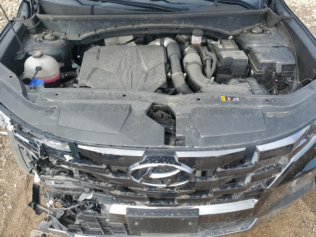 2023 Hyundai Santa Cruz Limited VIN: 5NTJEDAFXPH059345 Lot: 81431105