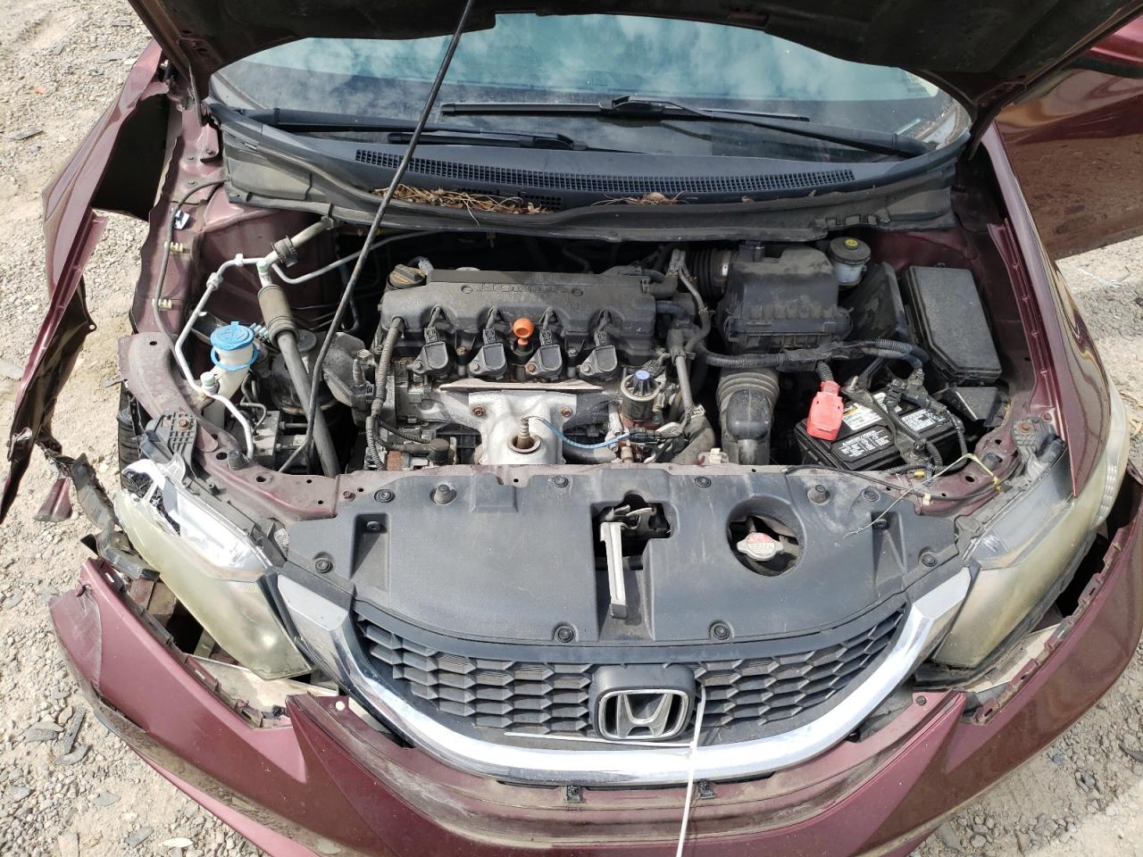 2014 Honda Civic Lx VIN: 19XFB2F50EE227674 Lot: 71078785